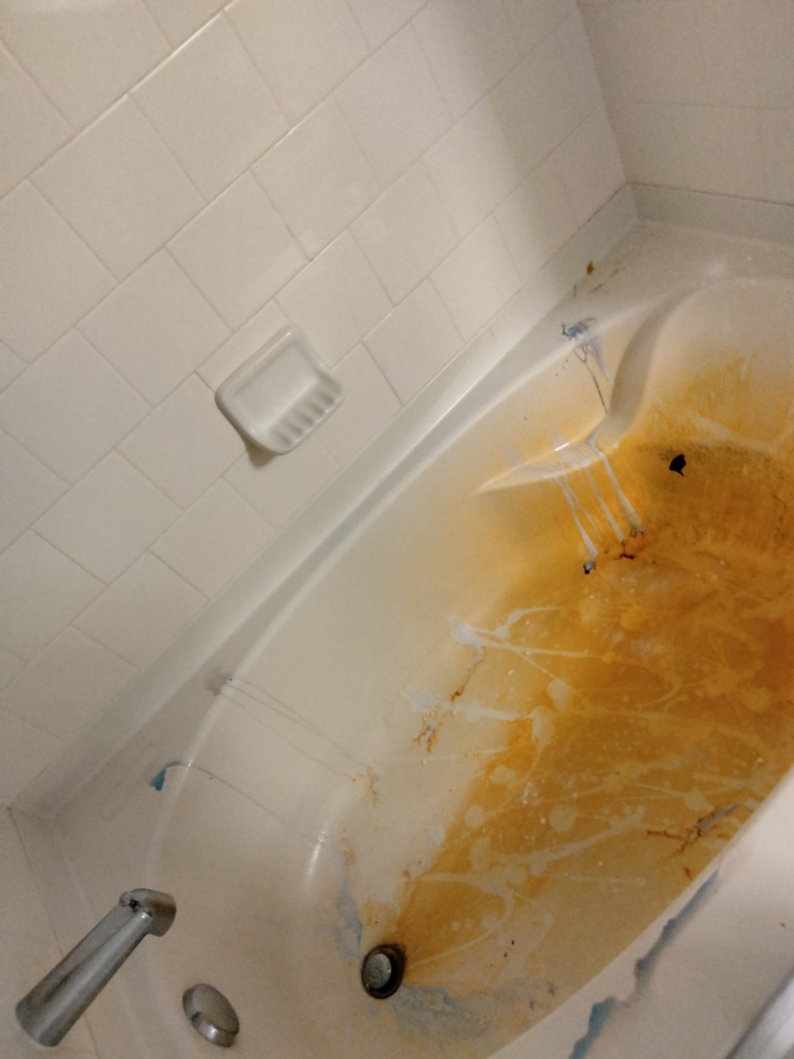 Bathtub before cleaning