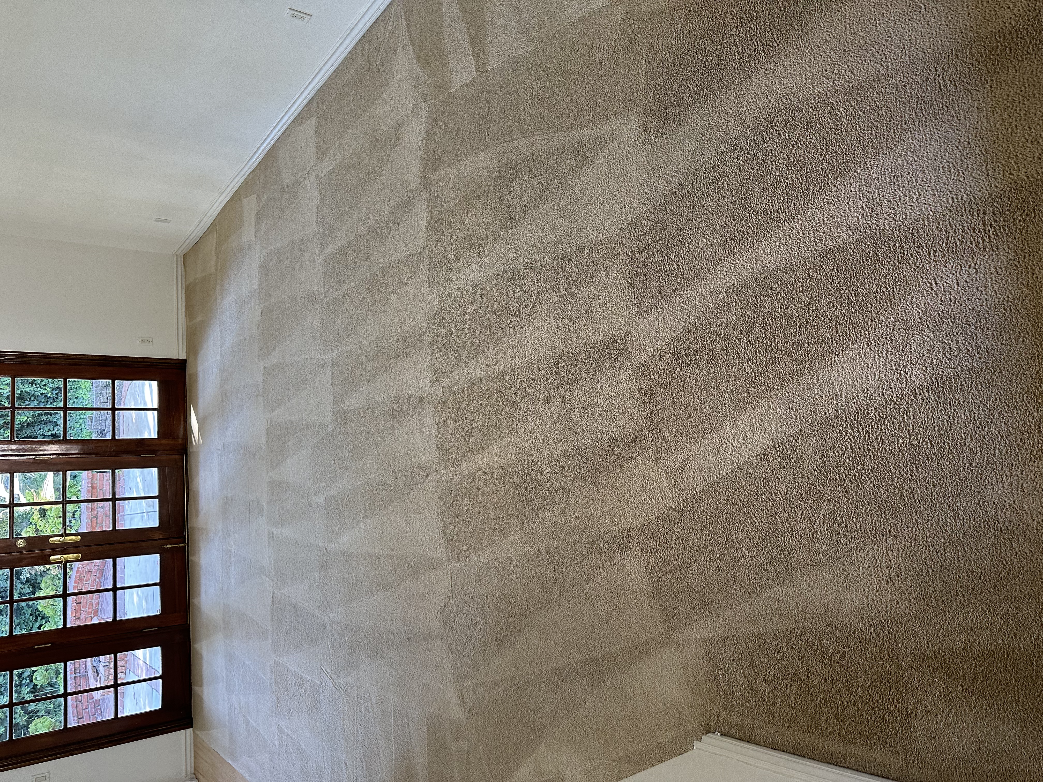 Carpet after professional cleaning